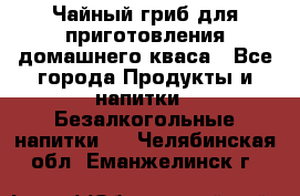 Чайный гриб для приготовления домашнего кваса - Все города Продукты и напитки » Безалкогольные напитки   . Челябинская обл.,Еманжелинск г.